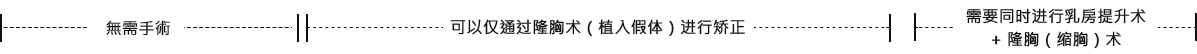 下垂乳房矫正