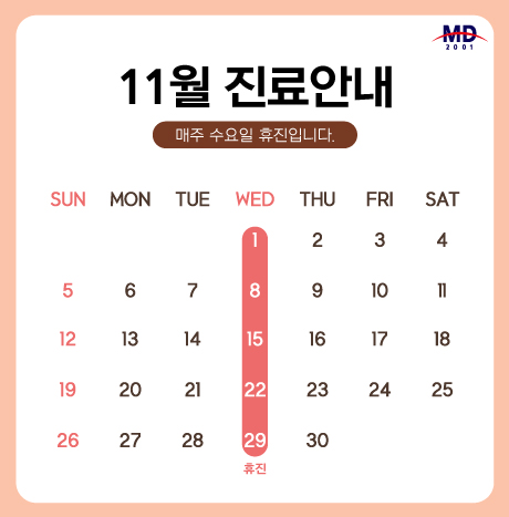 [11월 진료안내]
